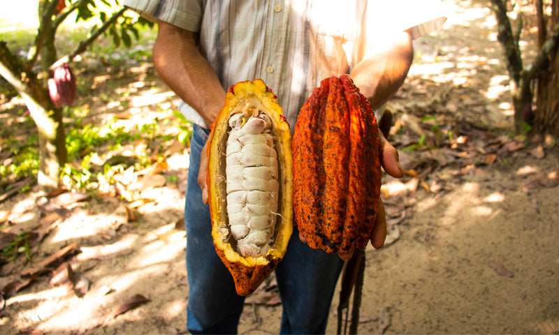 Fair Trade | Wild West Chocolate