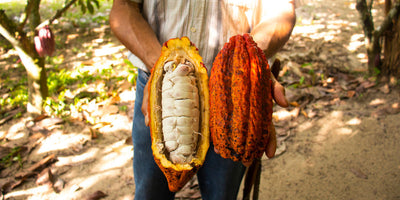 Fair Trade | Wild West Chocolate