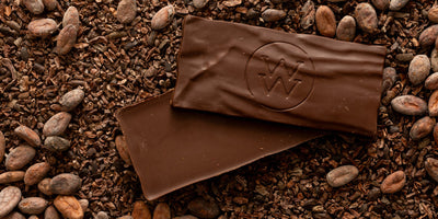Raw cacao beans and Wild West Chocolate bar