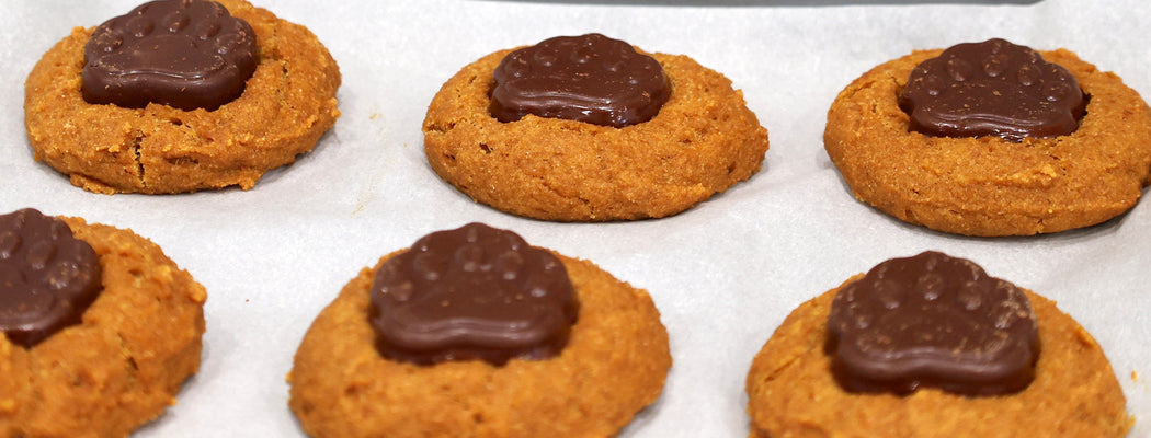 Pumpkin Spice Bear Claw Cookies