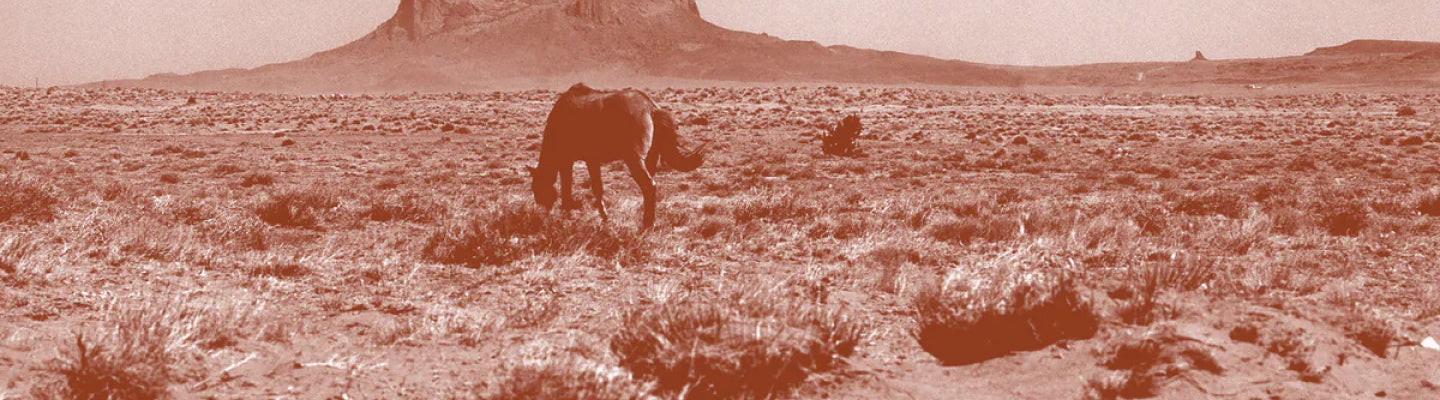 Default Page Header Image